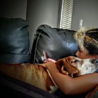 West Caldwell Animal Hospital ico