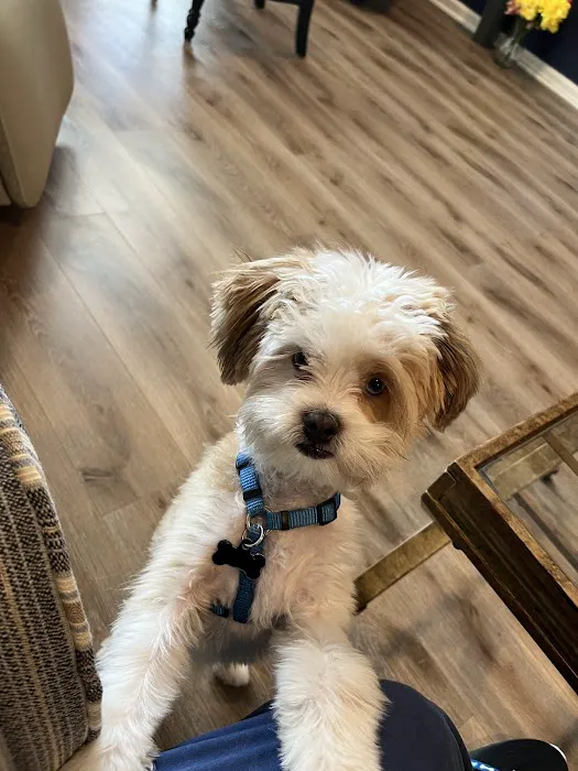 West Caldwell Animal Hospital Picture 6