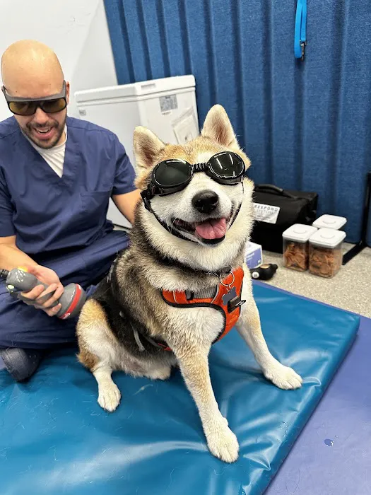 Alpha Animal Rehabilitation and Fitness Picture 8