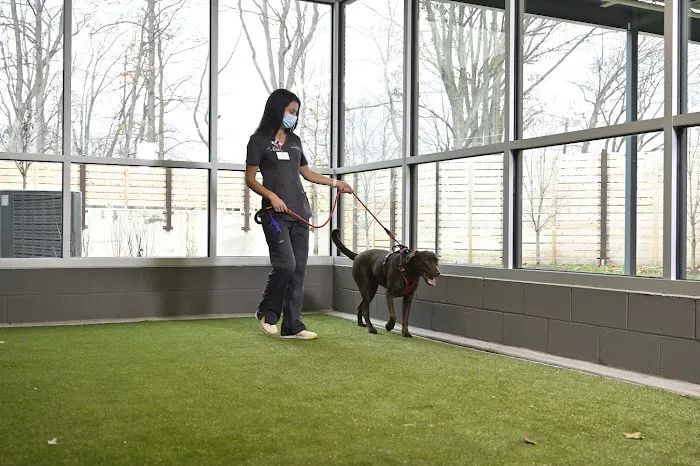 Animal Emergency & Referral Associates Picture 10