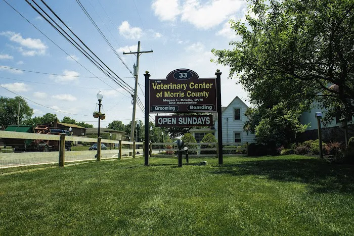 Veterinary Center of Morris County Picture 5