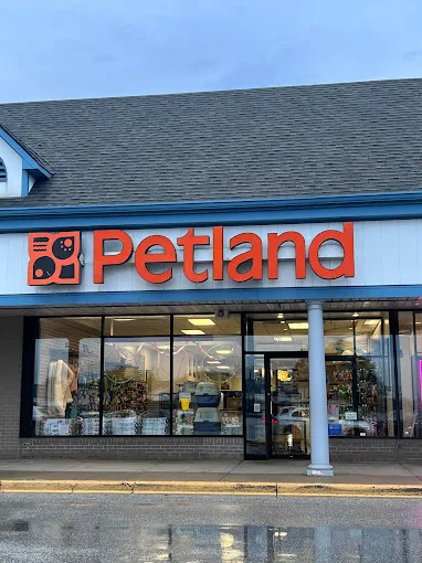 Petland Merrillville Picture 2