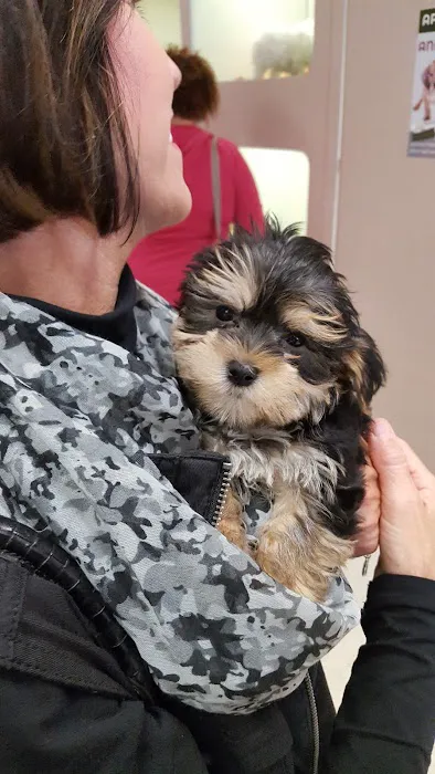 Petland Merrillville Picture 3