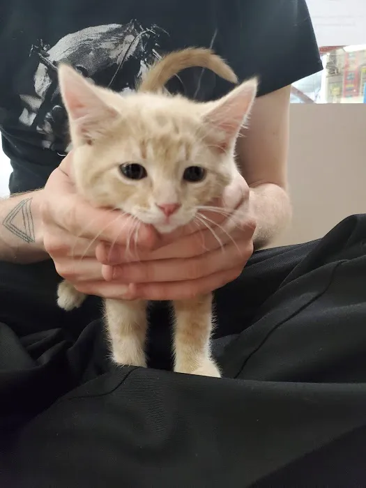 Petland Merrillville Picture 5