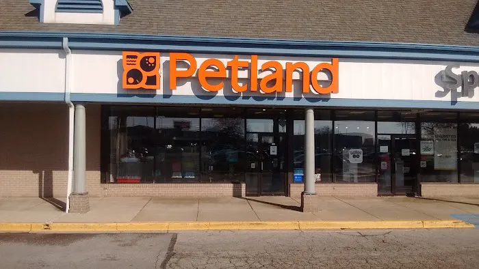 Petland Merrillville Picture 7