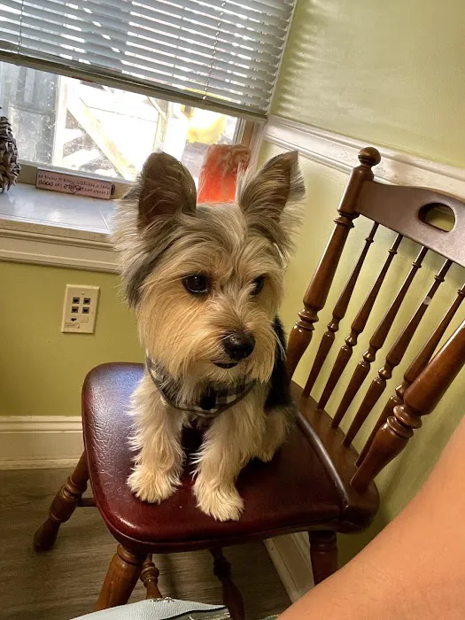 Longevity Veterinary Center Picture 7