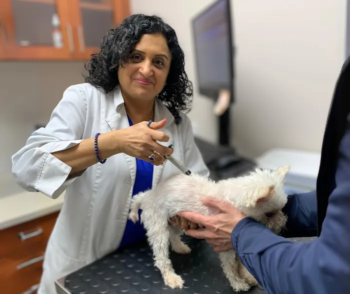 Longevity Veterinary Center Picture 6