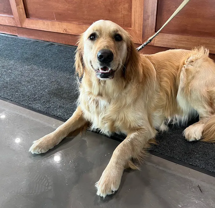 Longevity Veterinary Center Picture 5