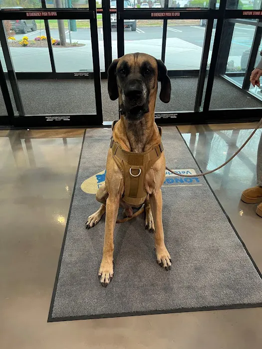 Longevity Veterinary Center Picture 3