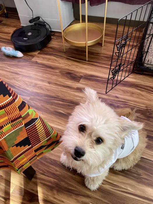 Danny's Family Pets and Accessories Picture 7