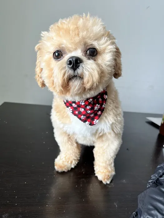 Danny's Family Pets and Accessories Picture 6