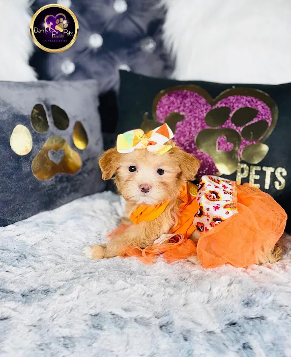 Danny's Family Pets and Accessories Picture 9