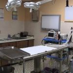 Whippany Veterinary Hospital and Animal Laser Center