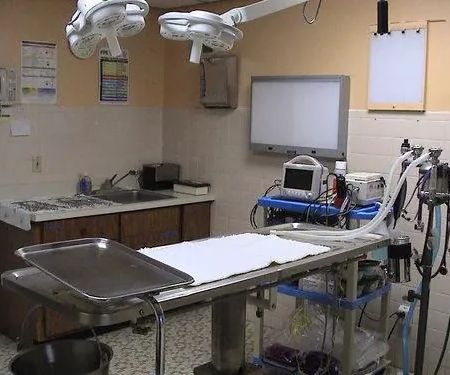 Whippany Veterinary Hospital and Animal Laser Center