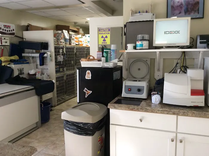 Whippany Veterinary Hospital and Animal Laser Center Picture 8