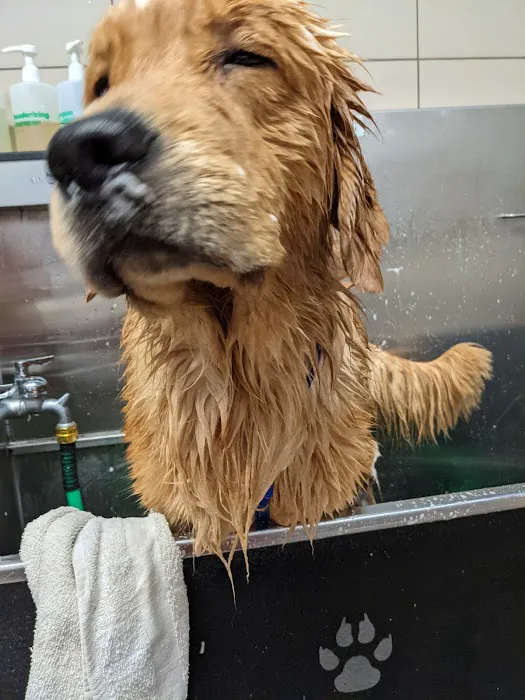 Pet Supplies Plus Crown Point Picture 10