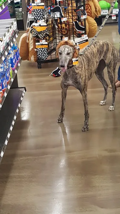 Pet Supplies Plus Crown Point Picture 9