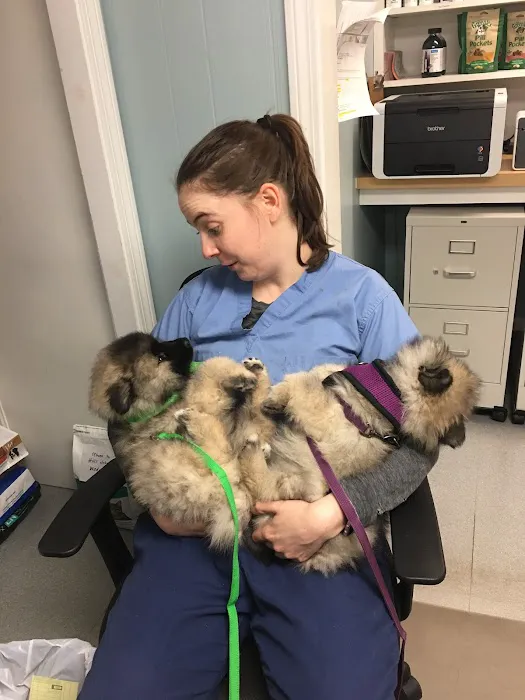 Jamestown Animal Clinic Picture 2