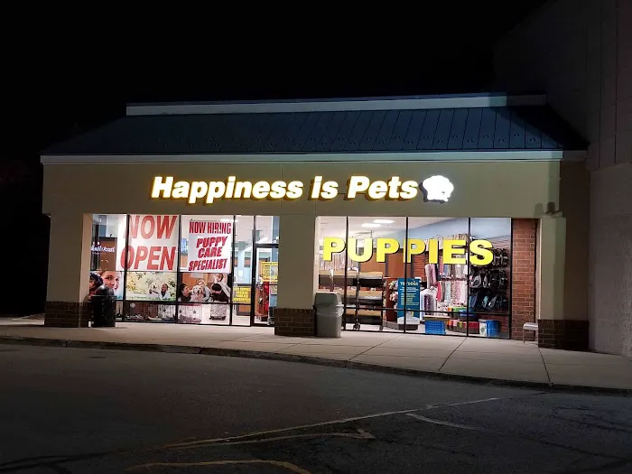 Happiness is Pets Picture 2