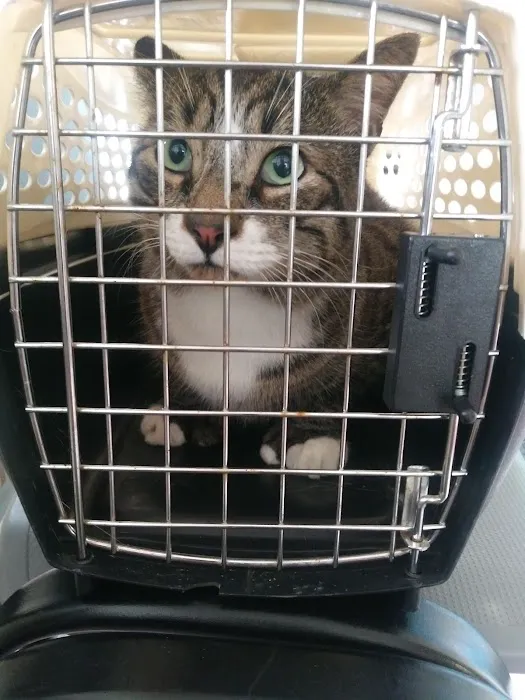 Hoffman Animal Hospital Picture 8