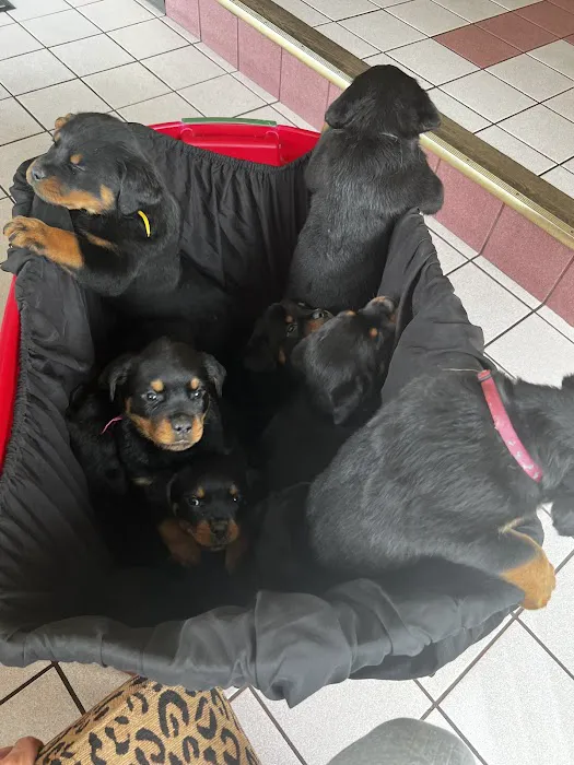 Hoffman Animal Hospital Picture 9