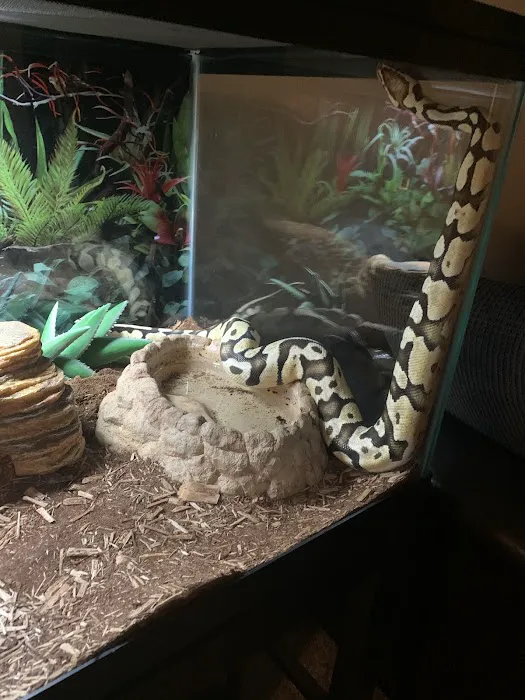 Reptile Emporium & Aquatic Center Picture 3