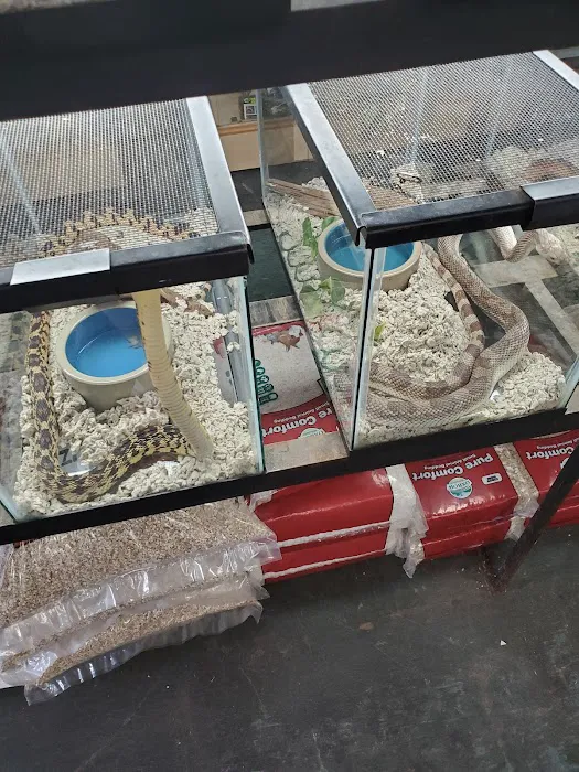 Reptile Emporium & Aquatic Center Picture 7