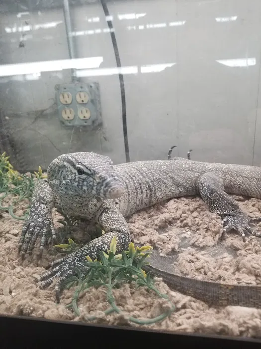 Reptile Emporium & Aquatic Center Picture 8