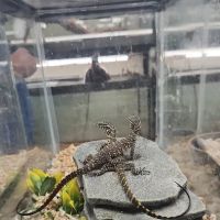 Reptile Emporium & Aquatic Center ico