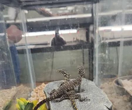 Reptile Emporium & Aquatic Center