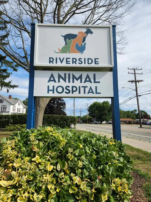 Riverside Animal Hospital Picture 2