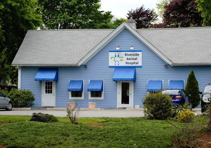 Riverside Animal Hospital Picture 10