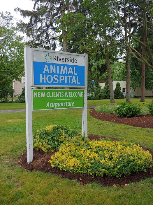 Riverside Animal Hospital Picture 9