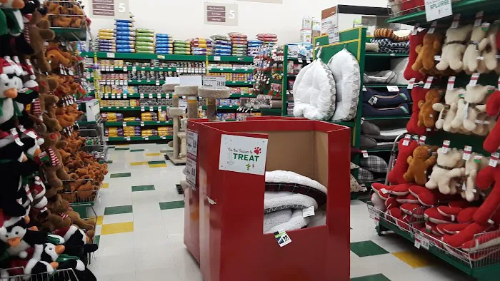 Pet Supplies Plus Dyer Picture 6