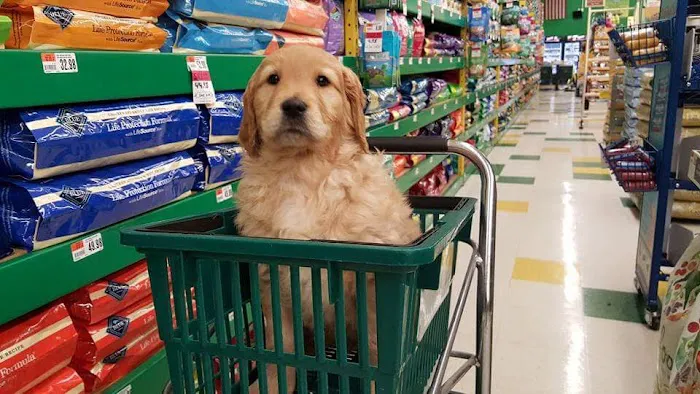 Pet Supplies Plus Dyer Picture 10