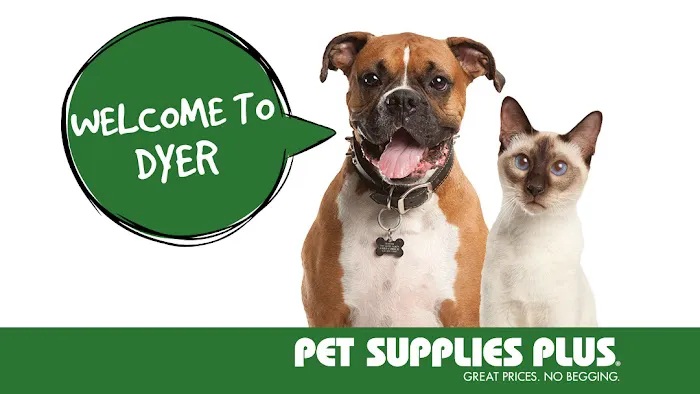 Pet Supplies Plus Dyer Picture 9
