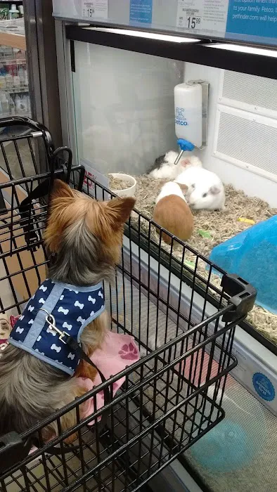 Petco Picture 6