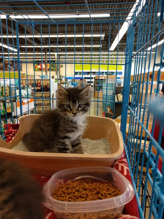 Petco Picture 7