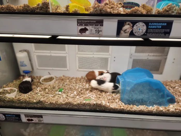 Petco Picture 10