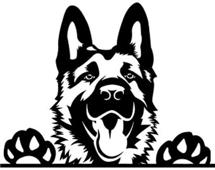 No Bullsh*t Treats Picture 4