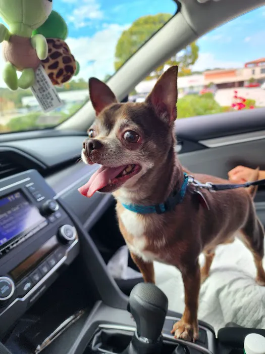 Banfield Pet Hospital Picture 2