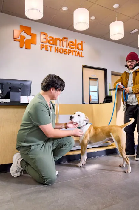 Banfield Pet Hospital Picture 5