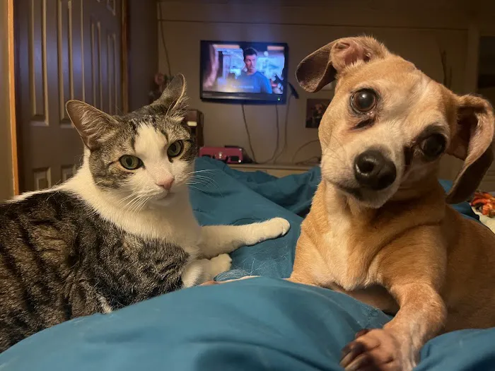 Banfield Pet Hospital Picture 1