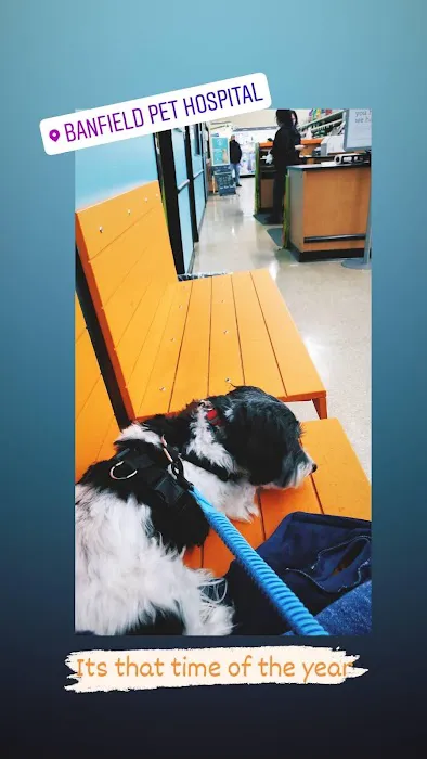 Banfield Pet Hospital Picture 6