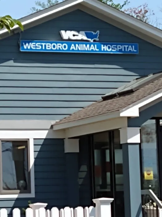 Banfield Pet Hospital Picture 4