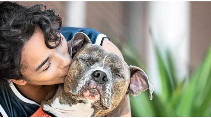 Banfield Pet Hospital Picture 7