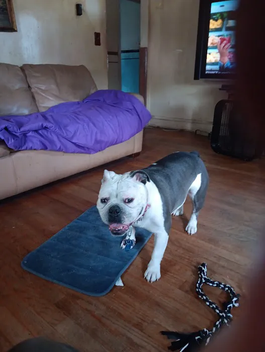 Banfield Pet Hospital Picture 10