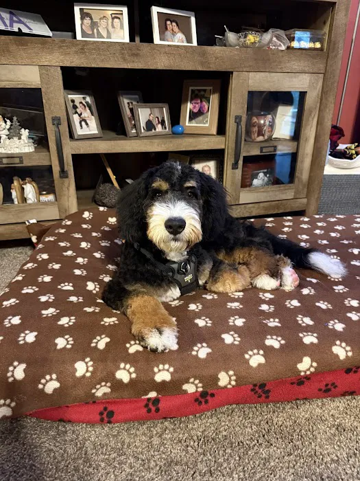Pet Supplies Plus Portage Picture 7