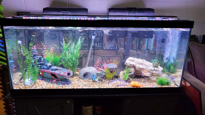 Pet Supplies Plus Portage Picture 10