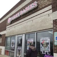 Furry Babies Portage ico